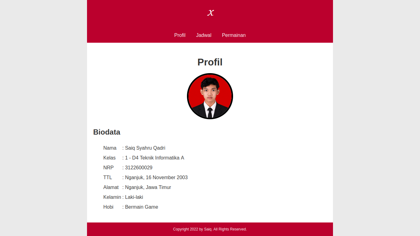Profile project screenshot